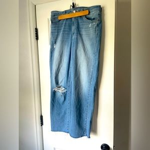 Joes Jeans straight leg crop